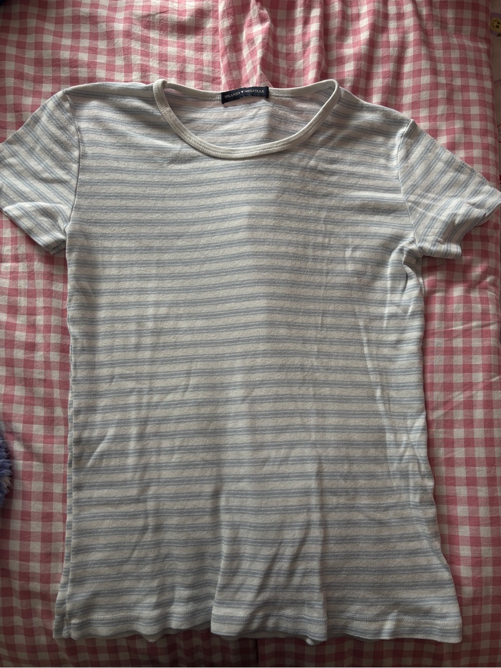 Brandy Melville Blue & White Striped Tee
